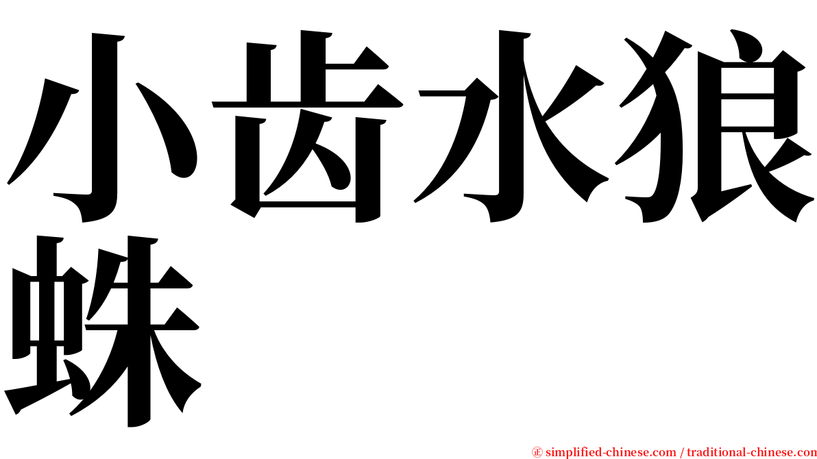 小齿水狼蛛 serif font