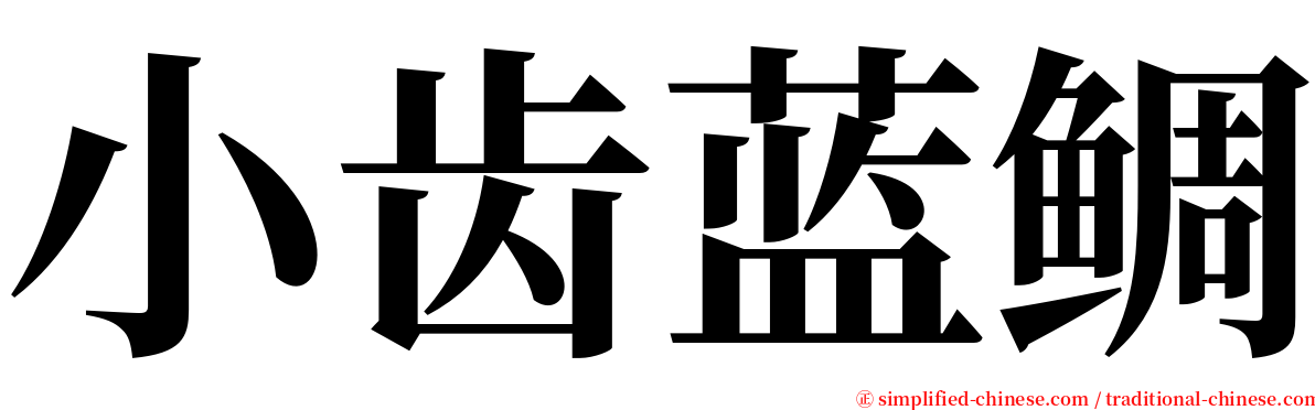 小齿蓝鲷 serif font