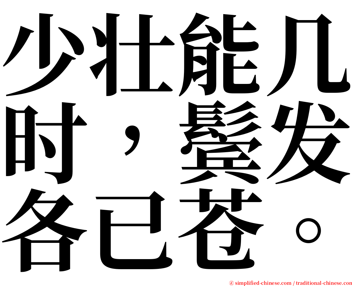 少壮能几时，鬓发各已苍。 serif font