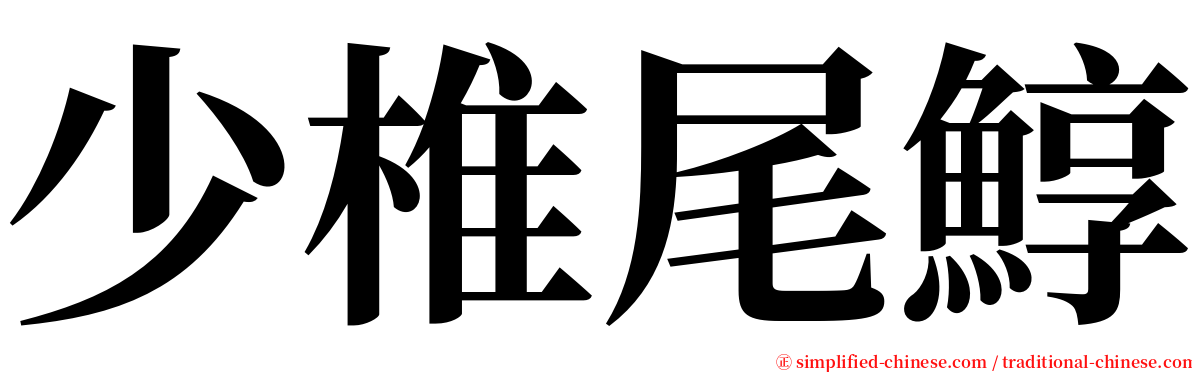 少椎尾鯙 serif font