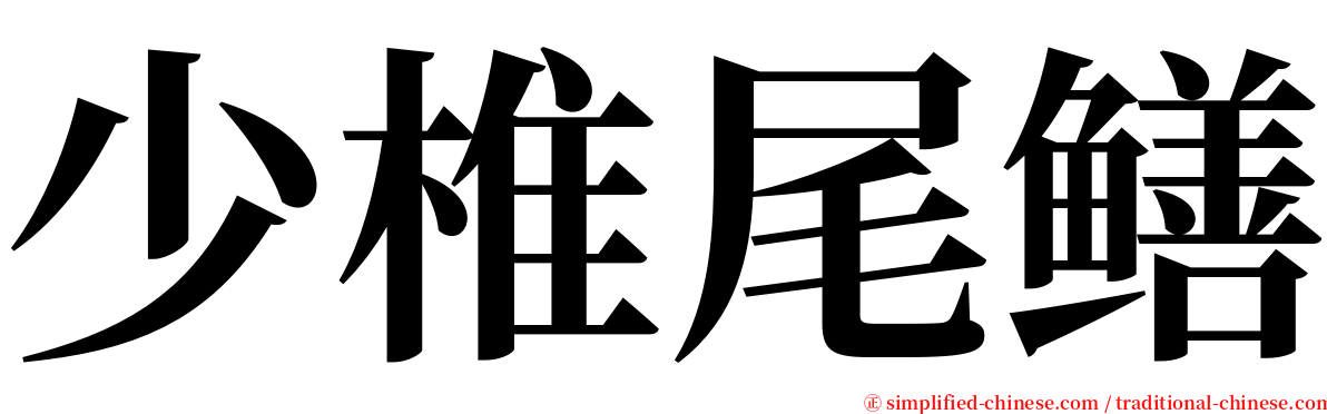 少椎尾鳝 serif font