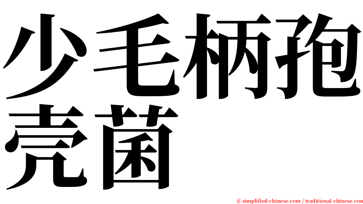 少毛柄孢壳菌 serif font