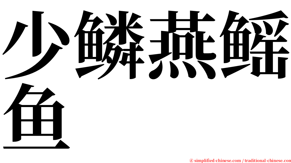 少鳞燕鳐鱼 serif font