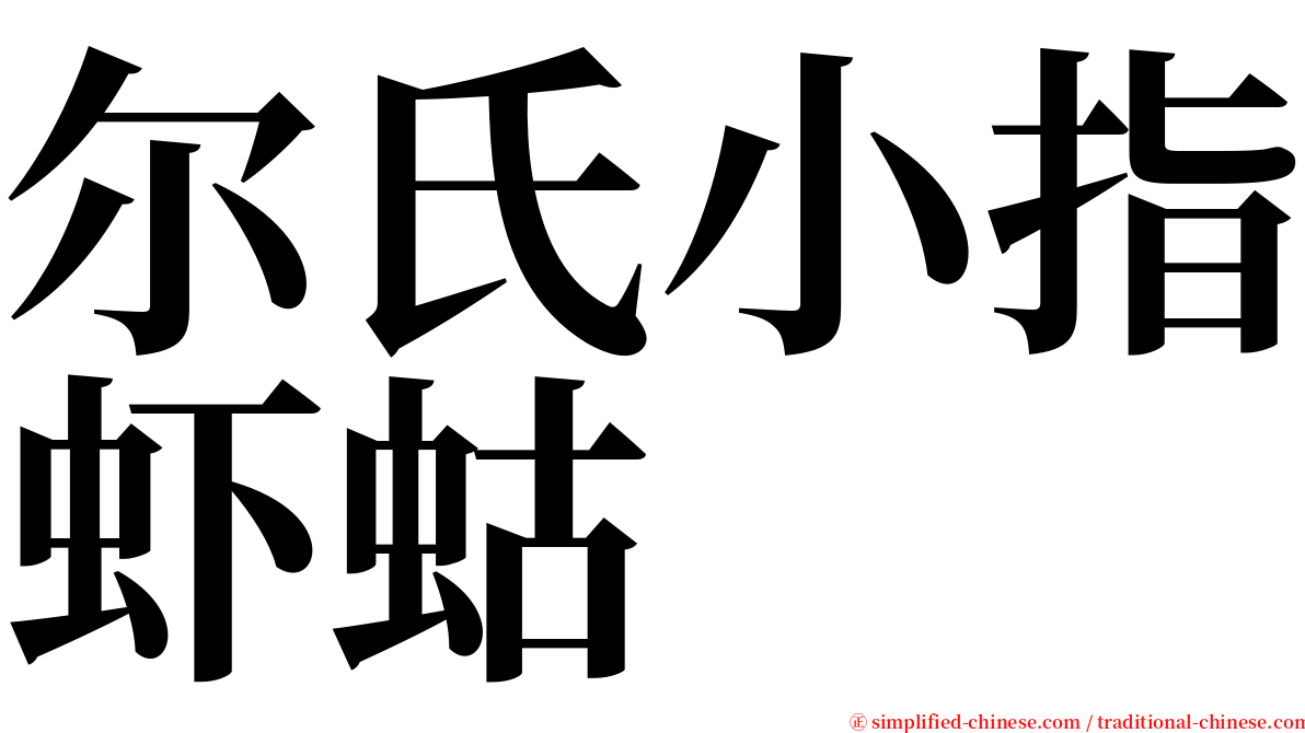 尔氏小指虾蛄 serif font