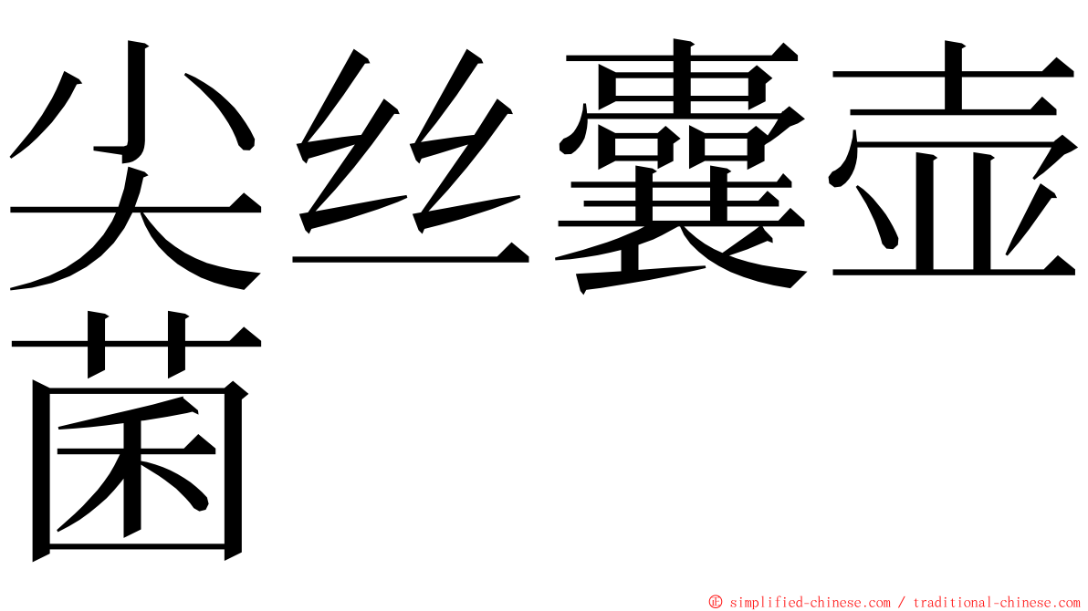 尖丝囊壶菌 ming font
