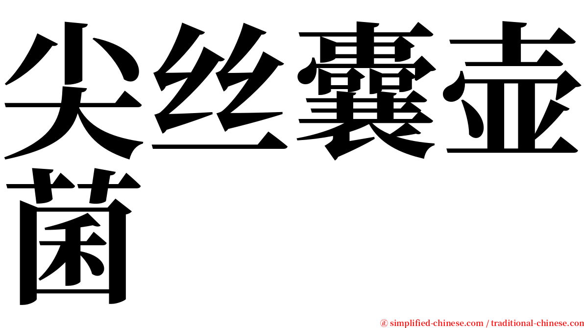 尖丝囊壶菌 serif font