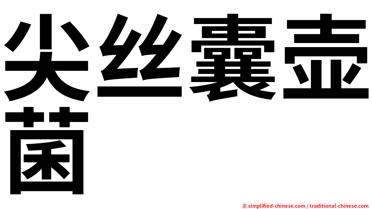 尖丝囊壶菌