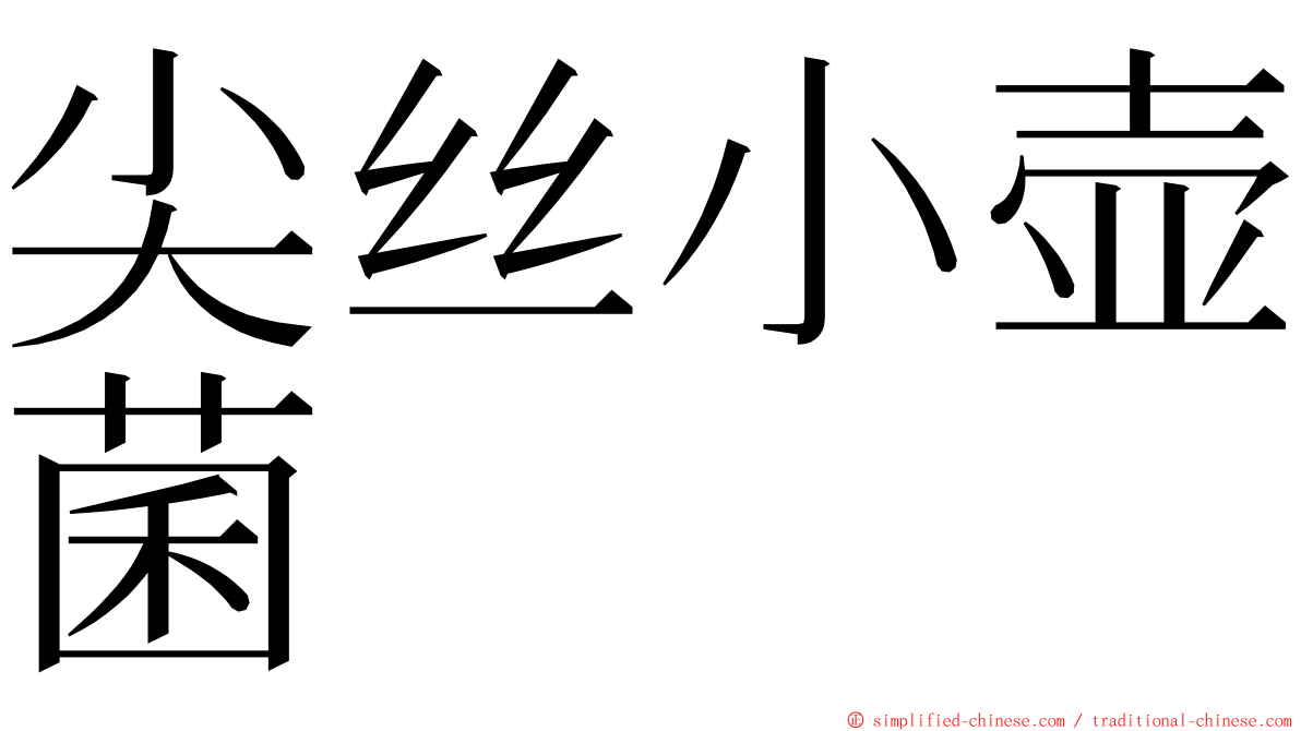 尖丝小壶菌 ming font
