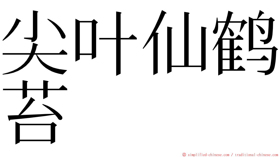 尖叶仙鹤苔 ming font