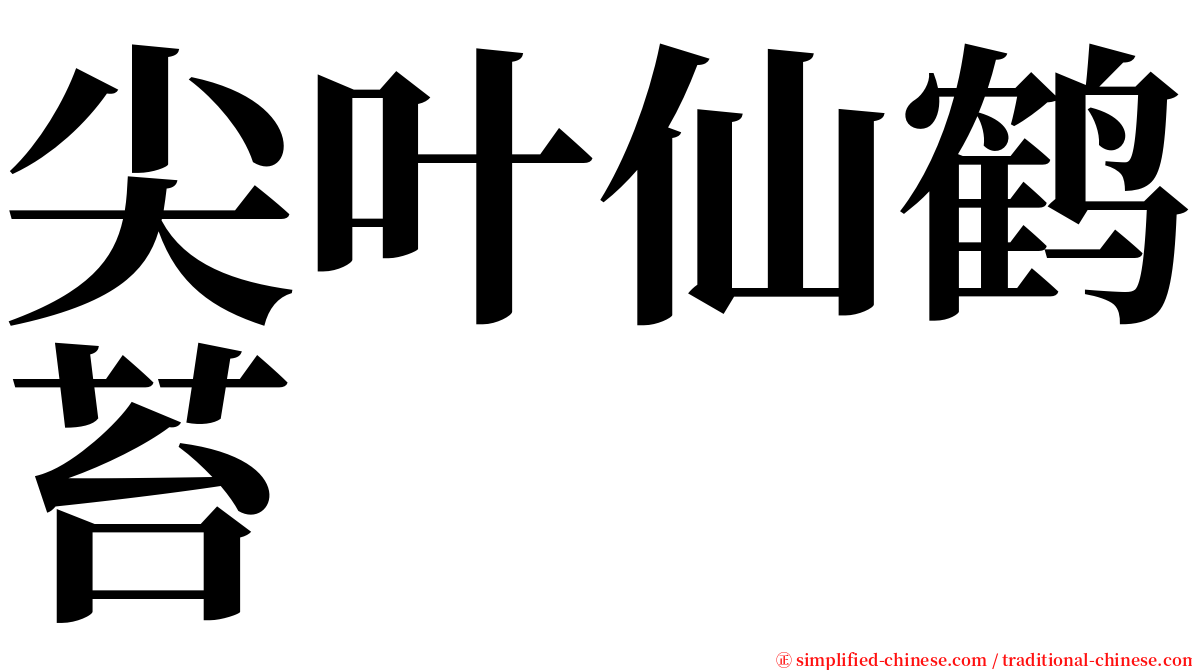 尖叶仙鹤苔 serif font