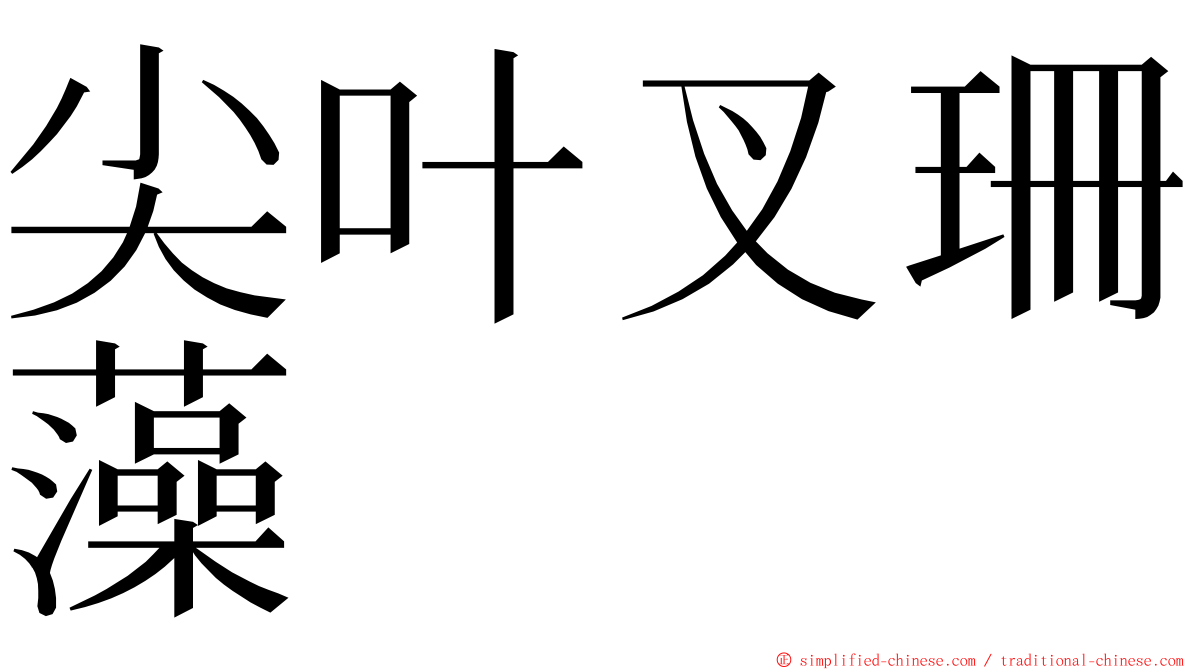 尖叶叉珊藻 ming font