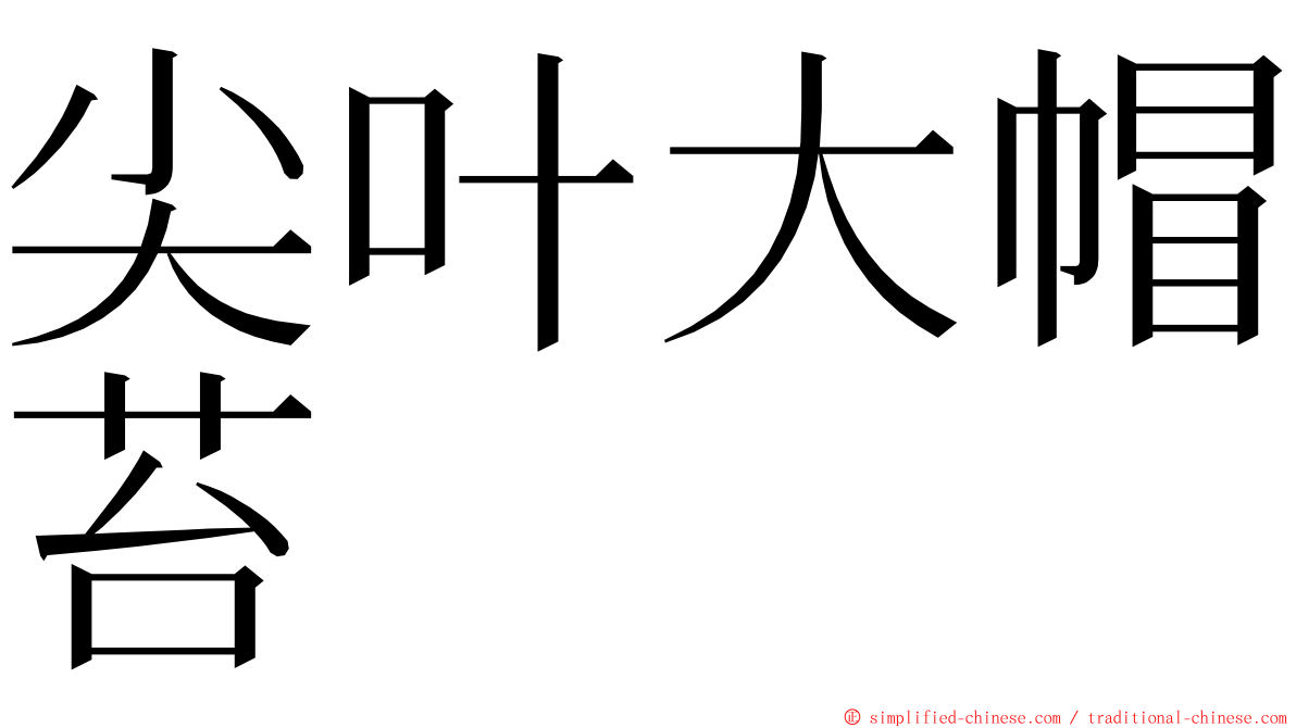 尖叶大帽苔 ming font