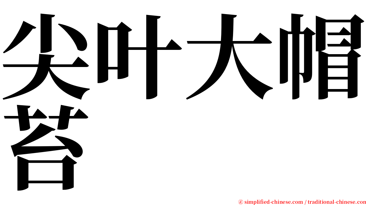 尖叶大帽苔 serif font