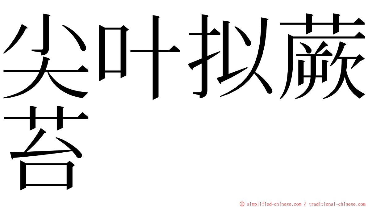 尖叶拟蕨苔 ming font