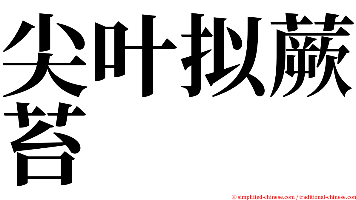 尖叶拟蕨苔 serif font