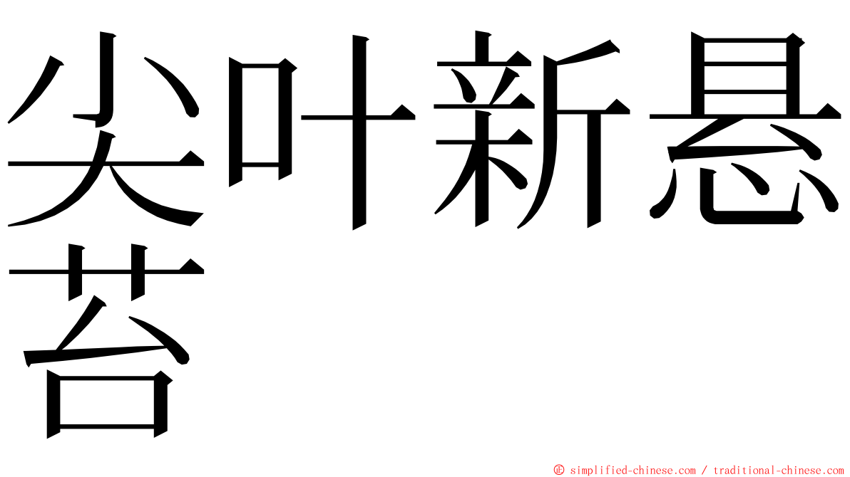 尖叶新悬苔 ming font