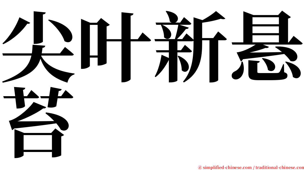 尖叶新悬苔 serif font