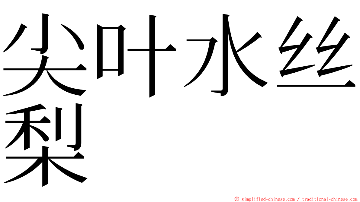 尖叶水丝梨 ming font