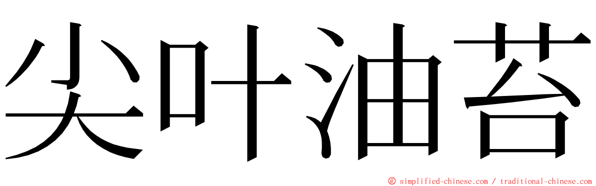 尖叶油苔 ming font