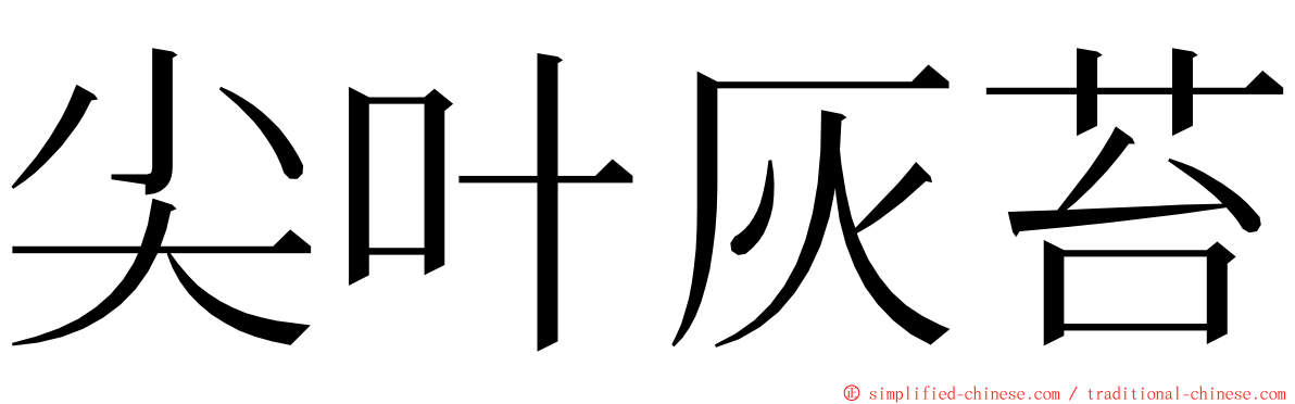 尖叶灰苔 ming font