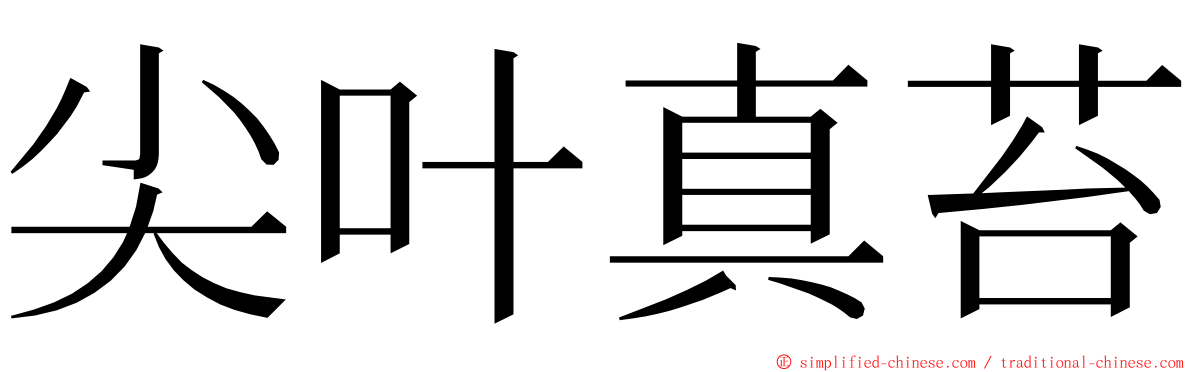 尖叶真苔 ming font