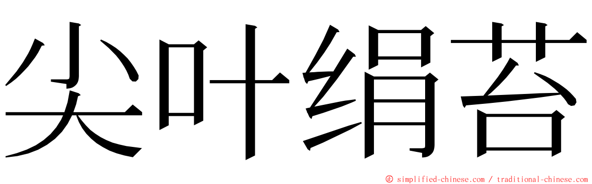 尖叶绢苔 ming font