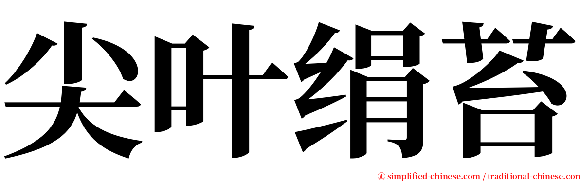 尖叶绢苔 serif font