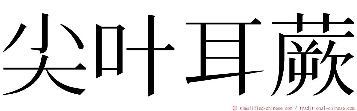 尖叶耳蕨 ming font