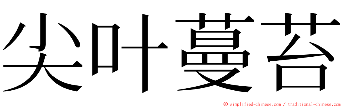 尖叶蔓苔 ming font