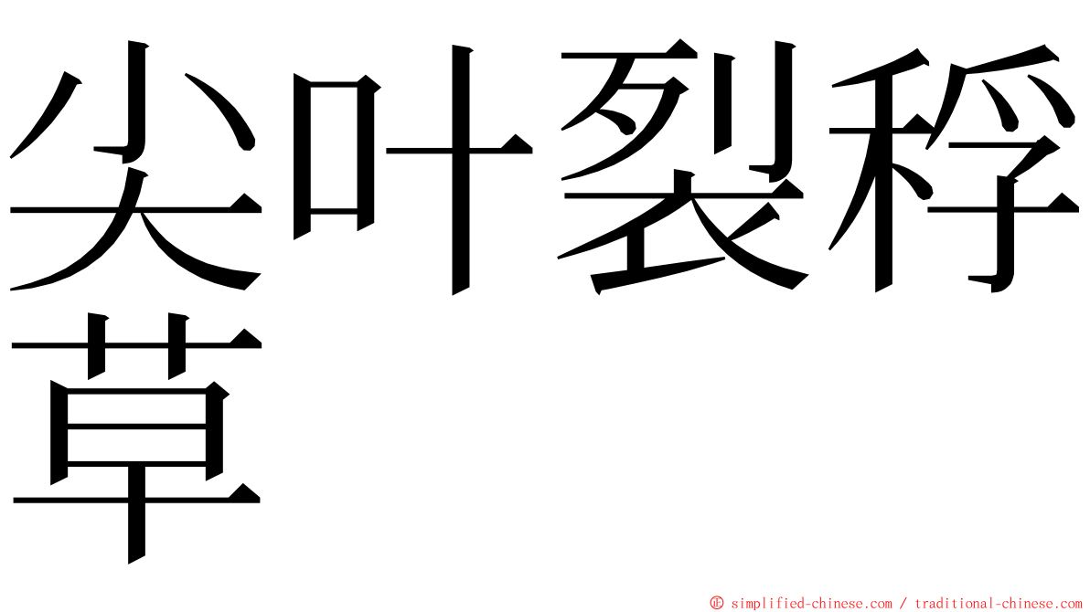 尖叶裂稃草 ming font