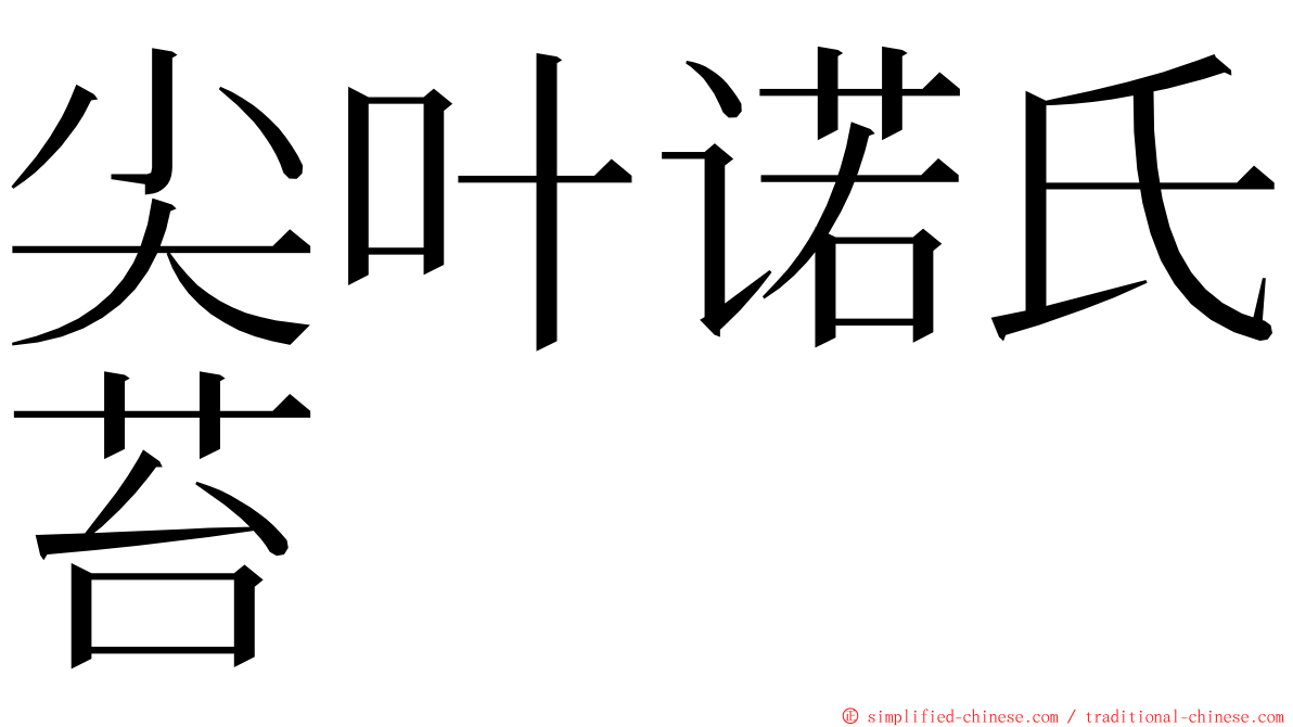 尖叶诺氏苔 ming font