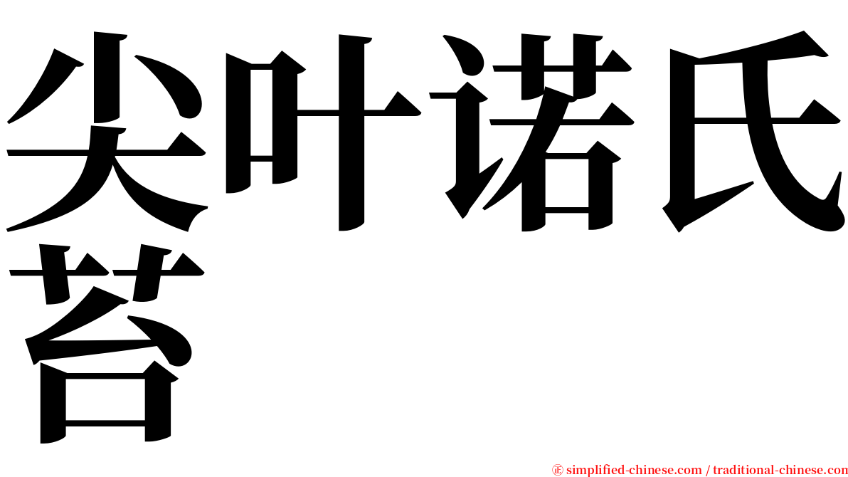 尖叶诺氏苔 serif font