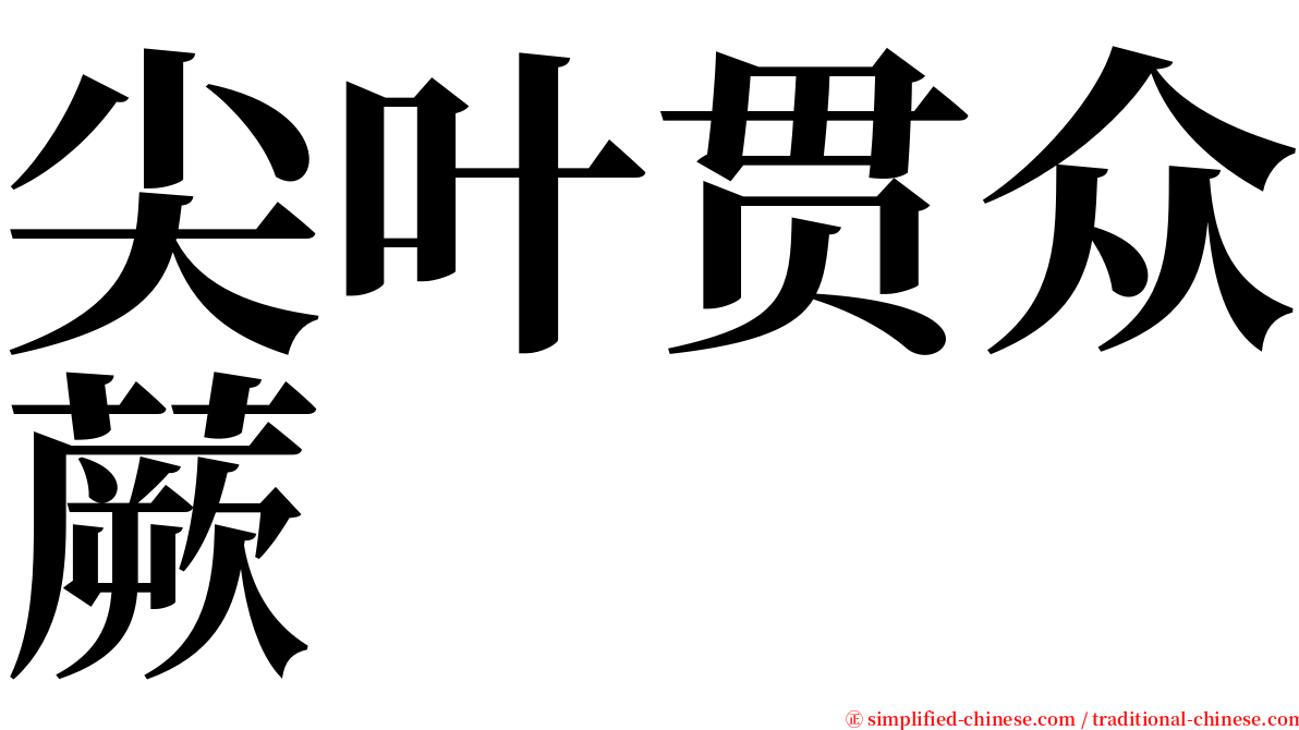 尖叶贯众蕨 serif font