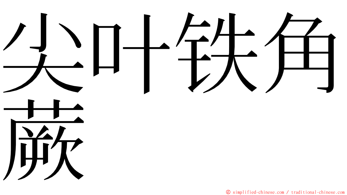 尖叶铁角蕨 ming font