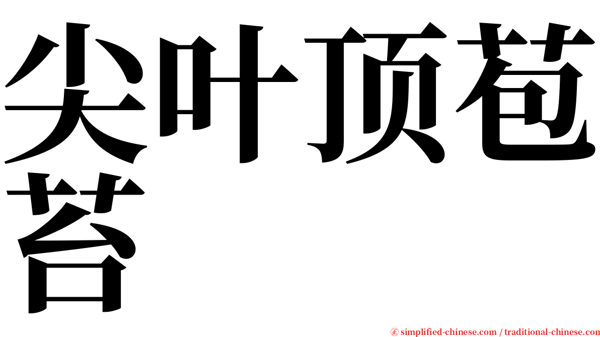 尖叶顶苞苔 serif font