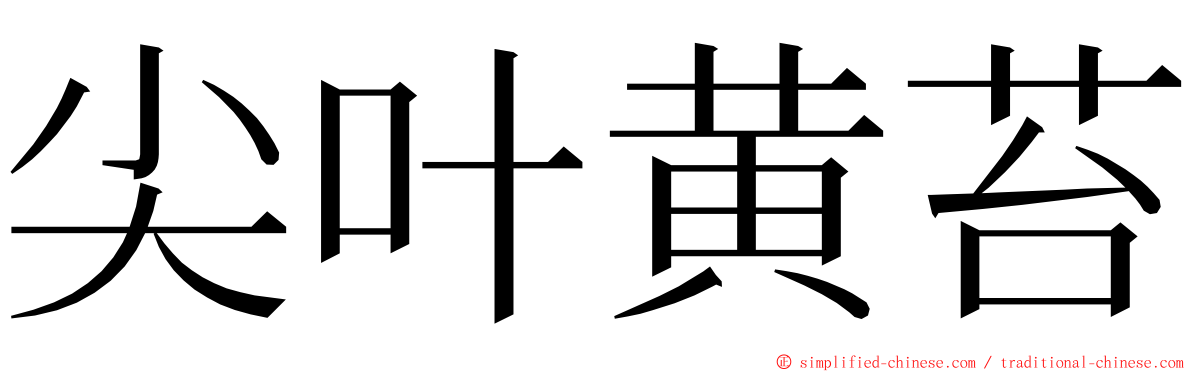 尖叶黄苔 ming font