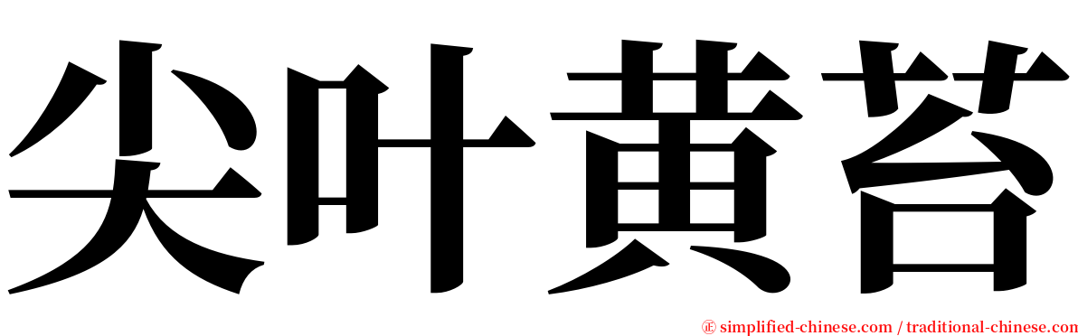 尖叶黄苔 serif font