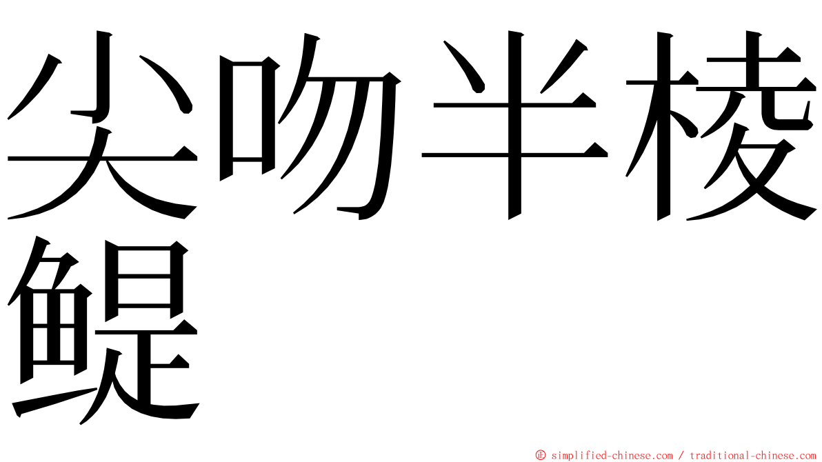 尖吻半棱鳀 ming font