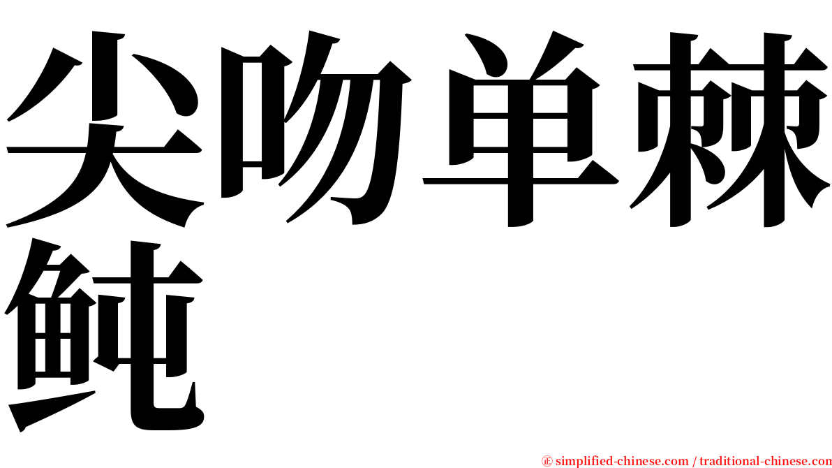 尖吻单棘鲀 serif font