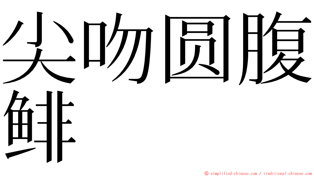 尖吻圆腹鲱 ming font