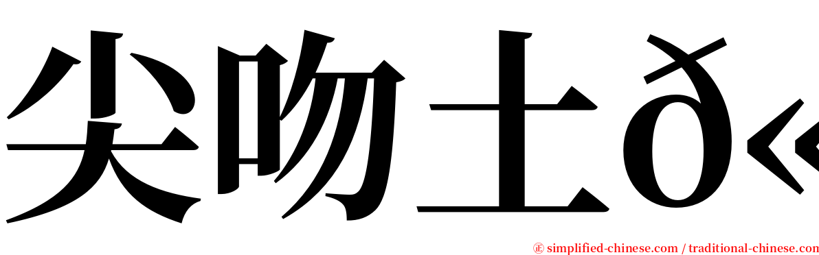 尖吻土𫚉 serif font