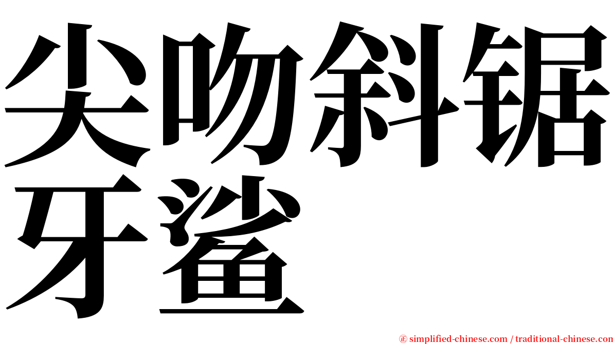 尖吻斜锯牙鲨 serif font