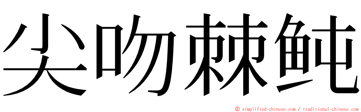 尖吻棘鲀 ming font