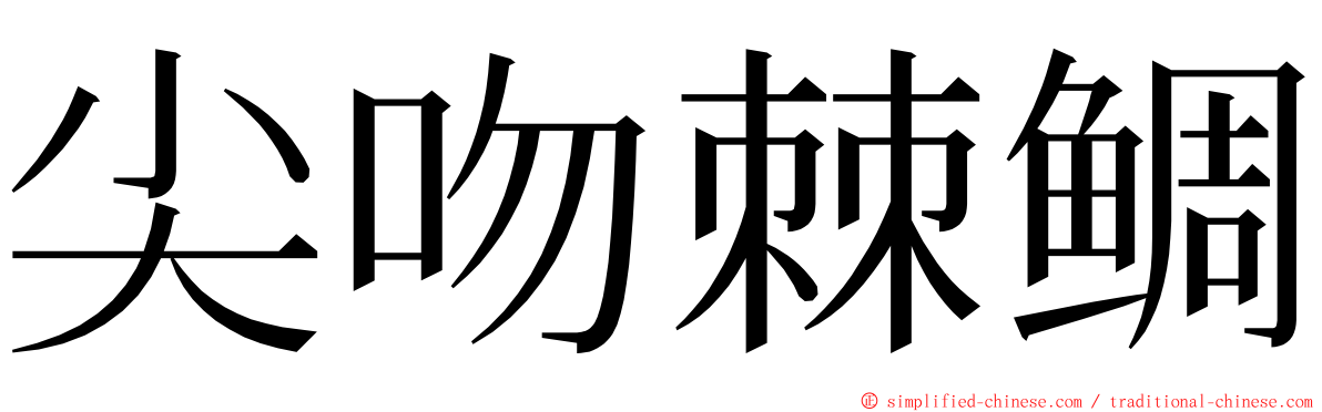 尖吻棘鲷 ming font