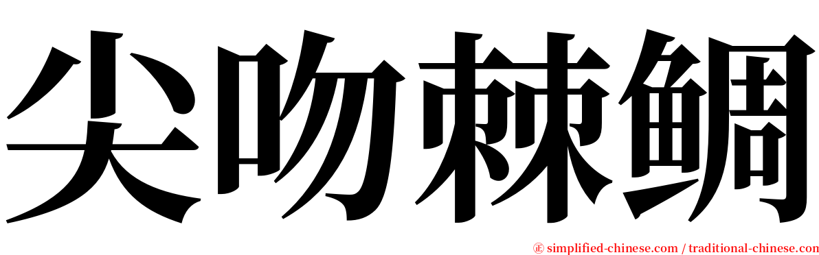 尖吻棘鲷 serif font