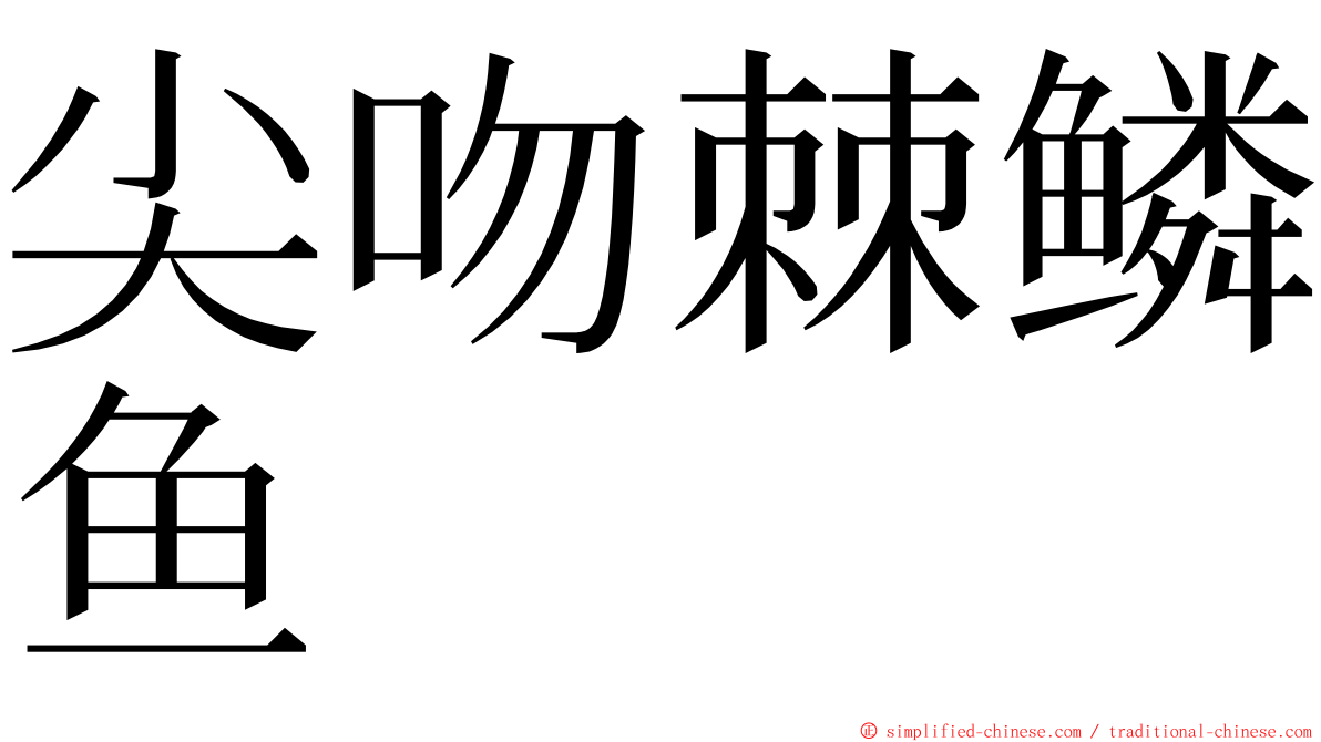 尖吻棘鳞鱼 ming font