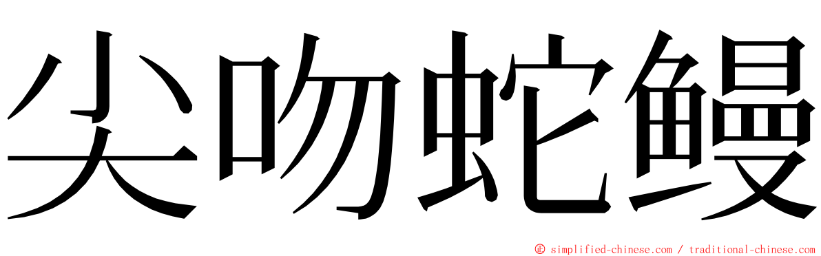 尖吻蛇鳗 ming font