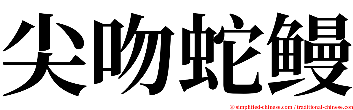 尖吻蛇鳗 serif font