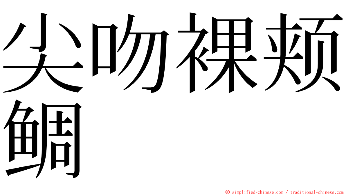 尖吻裸颊鲷 ming font