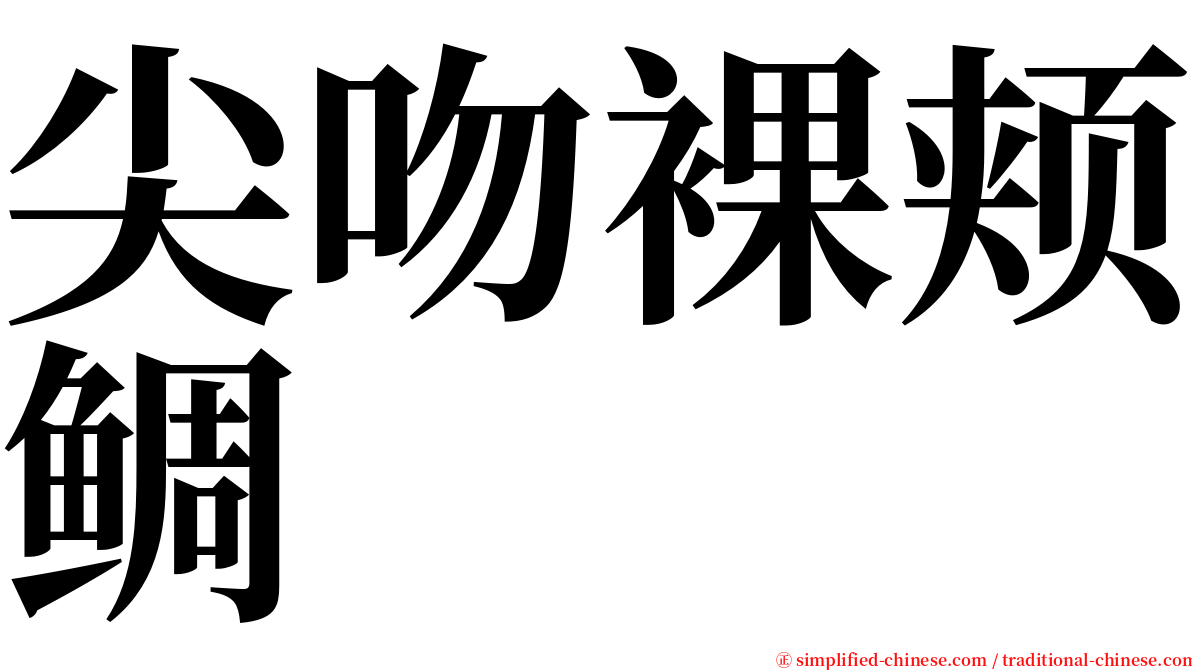 尖吻裸颊鲷 serif font